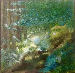 La forêt Lumière