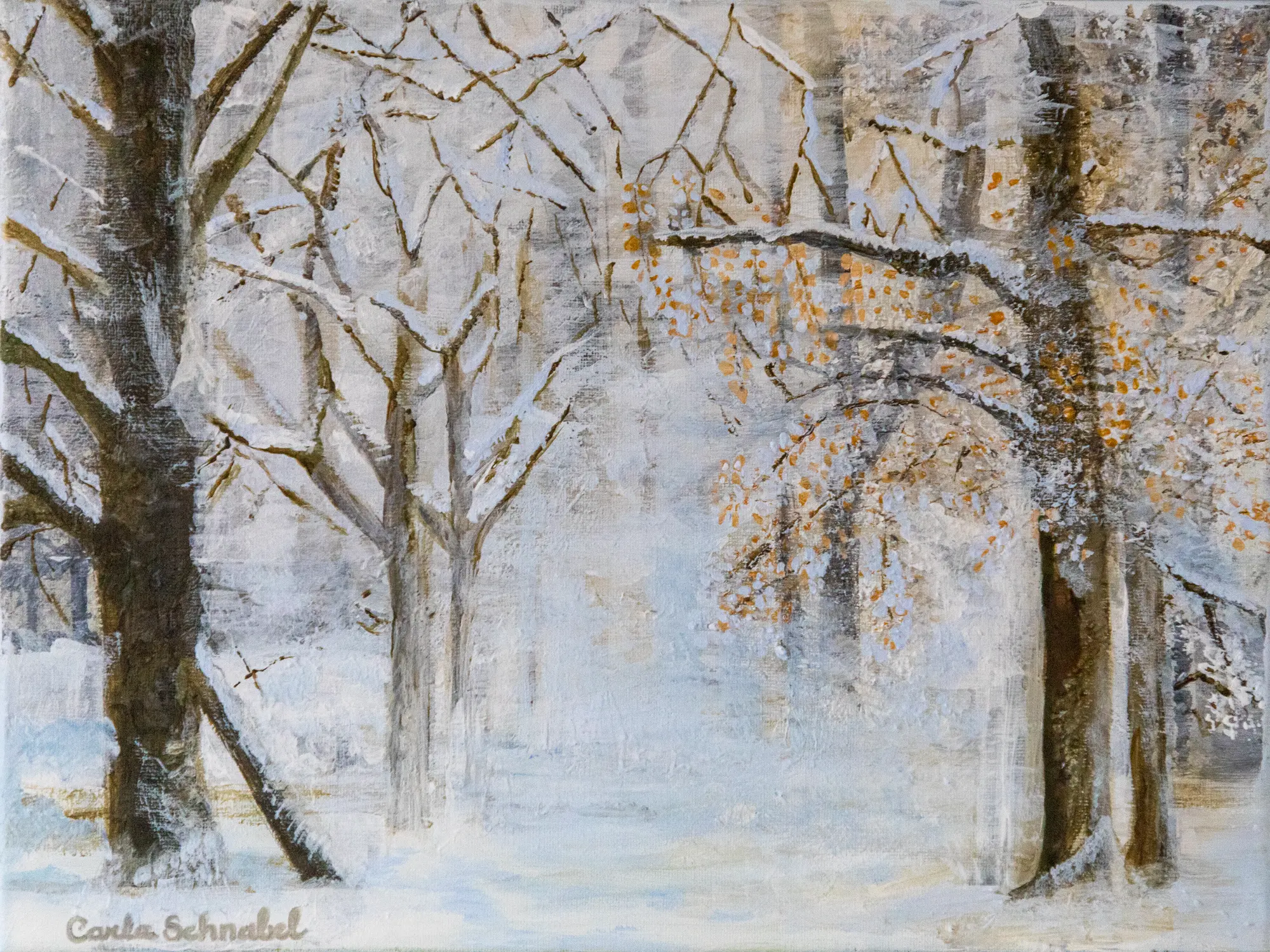 La forêt en neige