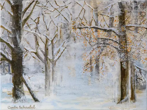 La forêt en neige
